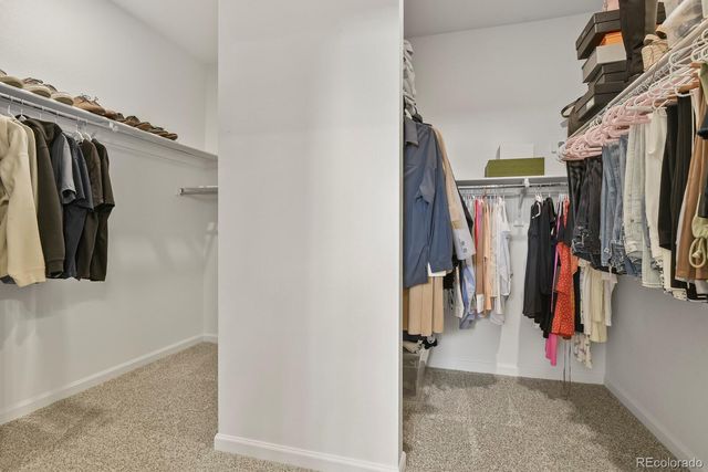 3055 Blithe Point, Castle Rock, CO 80108