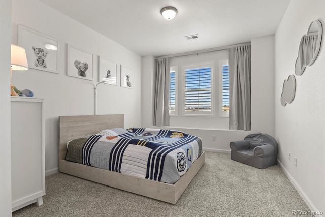 3055 Blithe Point, Castle Rock, CO 80108