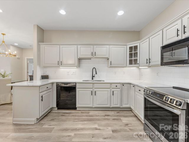 11906 Ludwell Branch Court, Charlotte, NC 28277