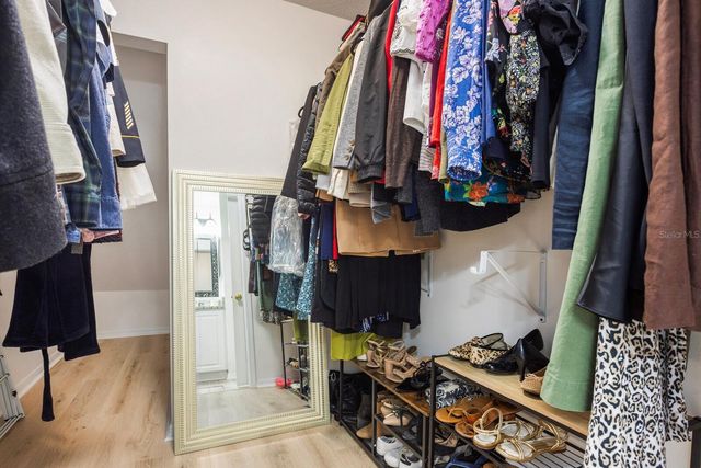 10429 SPRINGROSE DRIVE, Tampa, FL 33626