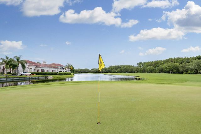 10429 SPRINGROSE DRIVE, Tampa, FL 33626