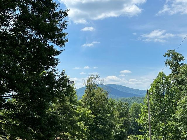 12877 Appalachian Hwy, Morganton, GA 30560