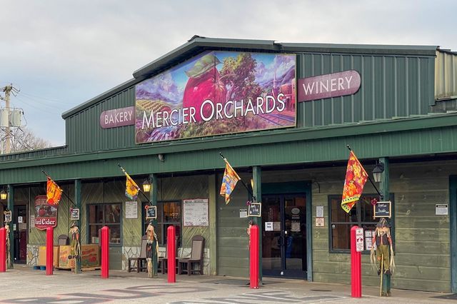 12877 Appalachian Hwy, Morganton, GA 30560