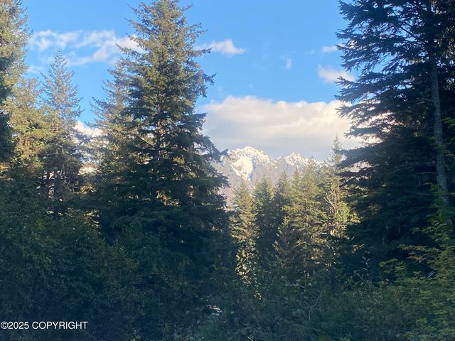 31940 Maxwell Court, Seward, AK 99664