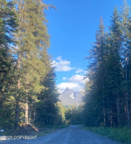 31940 Maxwell Court, Seward, AK 99664