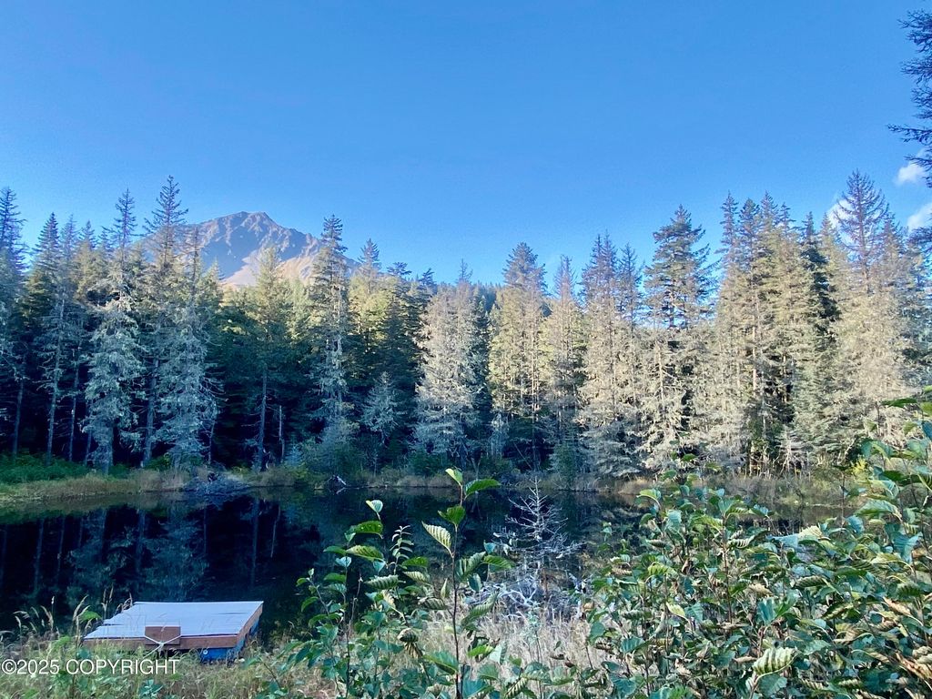 31940 Maxwell Court, Seward, AK 99664