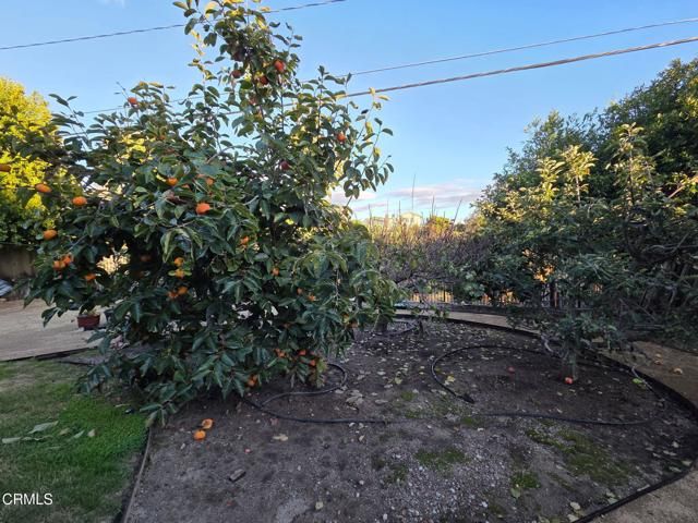 448 Court Avenue, Ventura, CA 93003