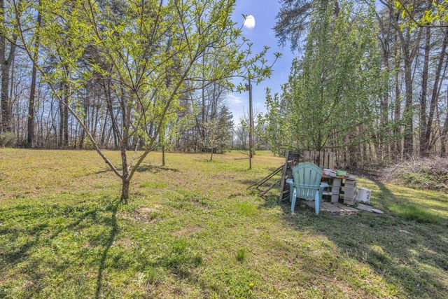 135 County Road 294, Bryant, AL 35958