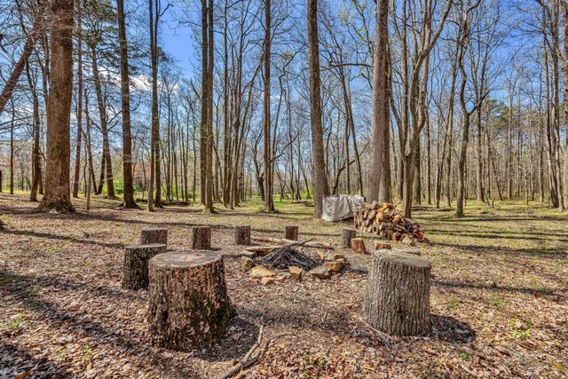 135 County Road 294, Bryant, AL 35958