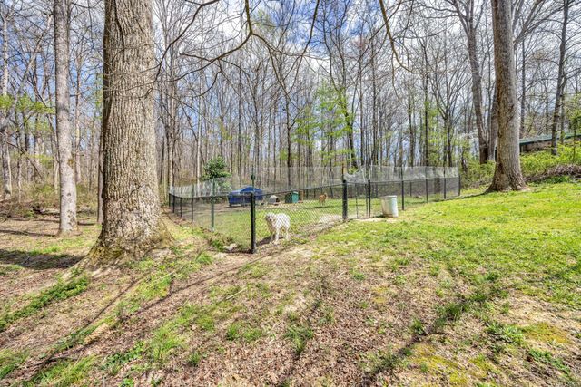 135 County Road 294, Bryant, AL 35958