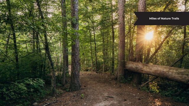 7873 Honeycomb Lane, Chattanooga, TN 37421