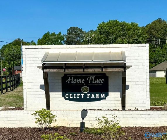 314 Clift Home Place Drive, Madison, AL 35757