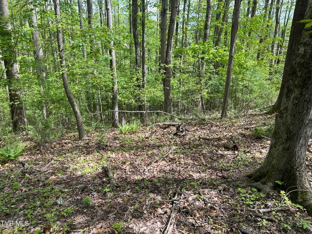 Tbd Highland Street, Wise, VA 24293
