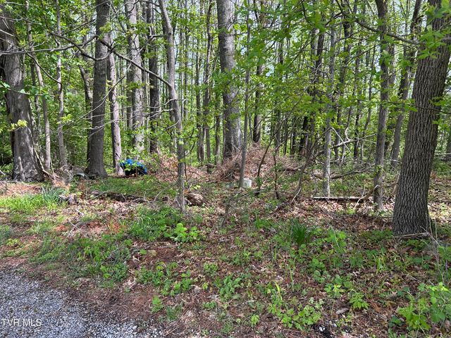 Tbd Highland Street, Wise, VA 24293
