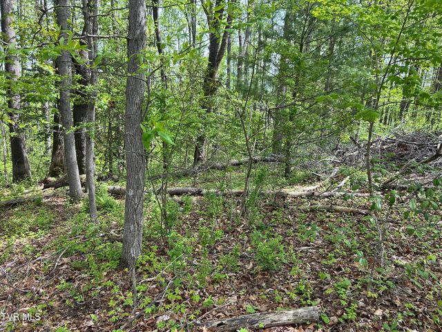 Tbd Highland Street, Wise, VA 24293
