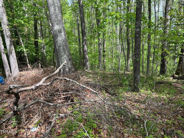 Tbd Highland Street, Wise, VA 24293