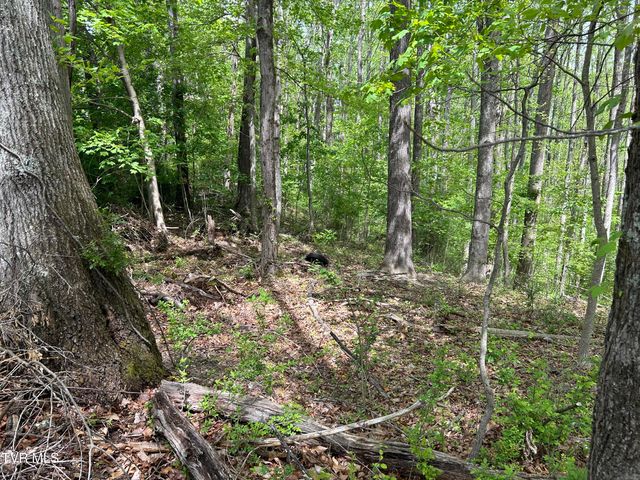 Tbd Highland Street, Wise, VA 24293