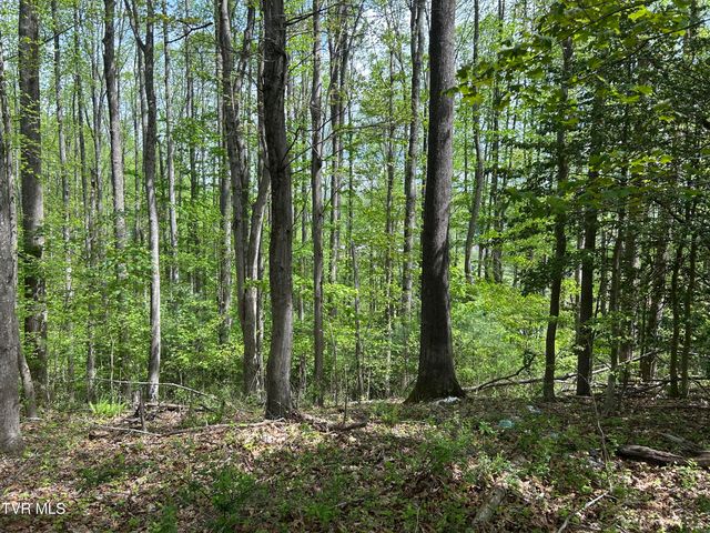 Tbd Highland Street, Wise, VA 24293