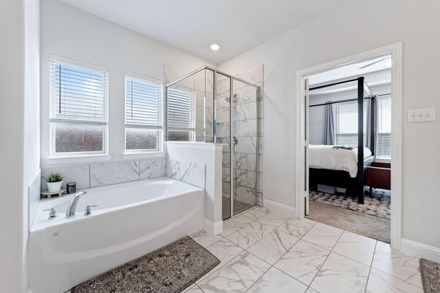 223 Red Oak Drive, Fate, TX 75087