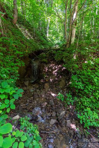 78 Spellbound Road, Waynesville, NC 28785