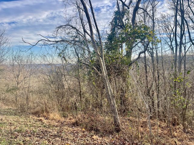 0 Old Lake Road, Lewisburg, TN 37091