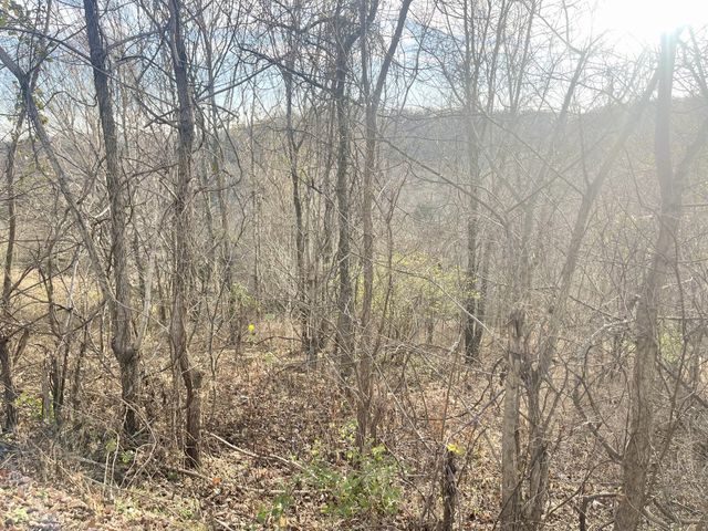 0 Old Lake Road, Lewisburg, TN 37091