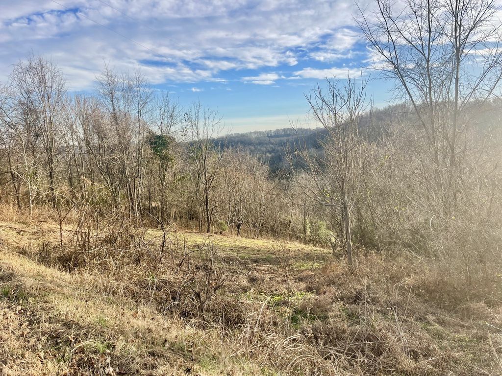 0 Old Lake Road, Lewisburg, TN 37091