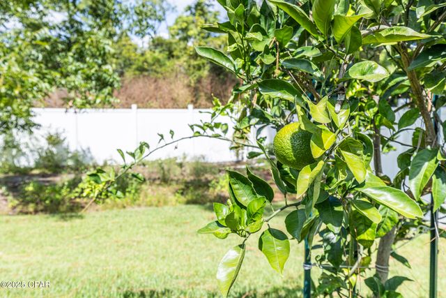 240 Oxford Avenue, Panama City Beach, FL 32413