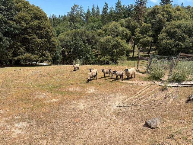 6560 Agape Ct, Placerville, CA 95667