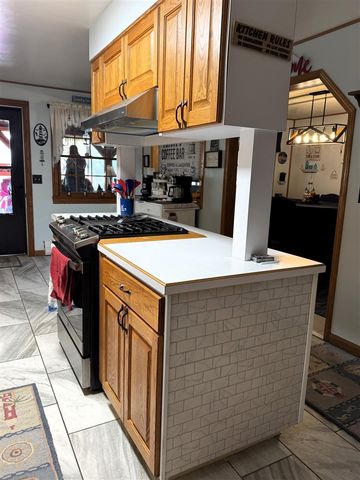 125 N Cedar Street, Evart, MI 49631