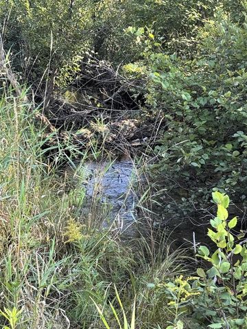 125 N Cedar Street, Evart, MI 49631