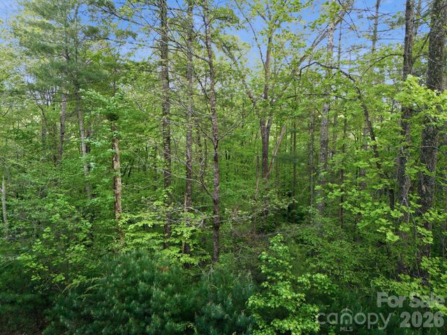 Lot 40 Larkhaven Drive, Nebo, NC 28761