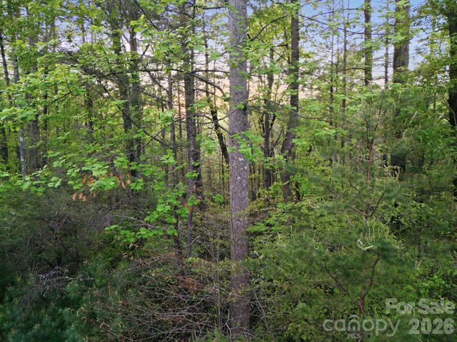 Lot 40 Larkhaven Drive, Nebo, NC 28761