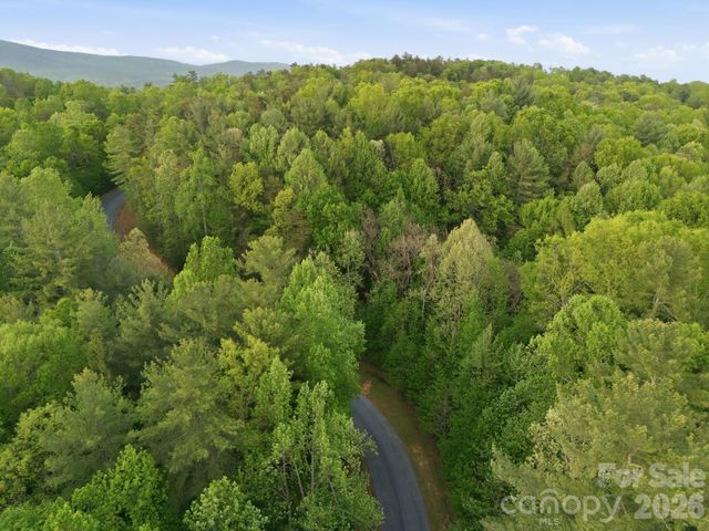 Lot 40 Larkhaven Drive, Nebo, NC 28761