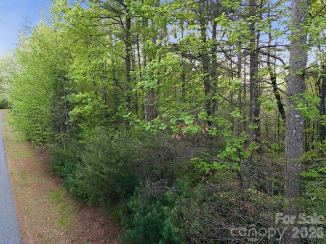 Lot 40 Larkhaven Drive, Nebo, NC 28761