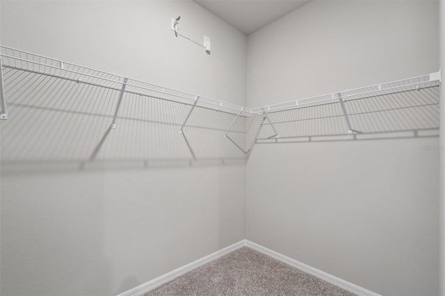 2353 MYSTIC MAZE LANE, Clermont, FL 34715