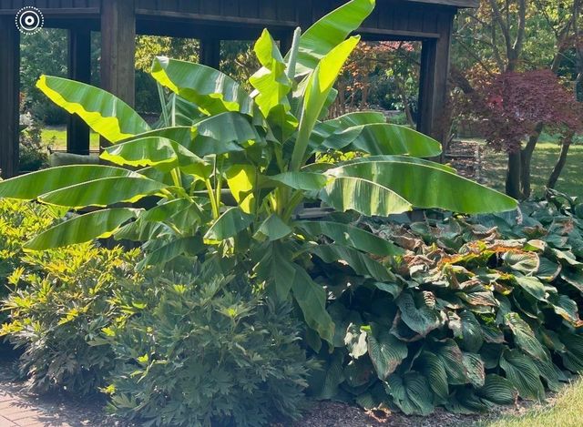 700 Park Avenue, Bay City, MI 48708