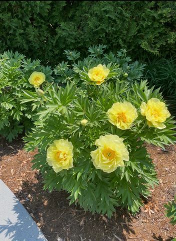 700 Park Avenue, Bay City, MI 48708