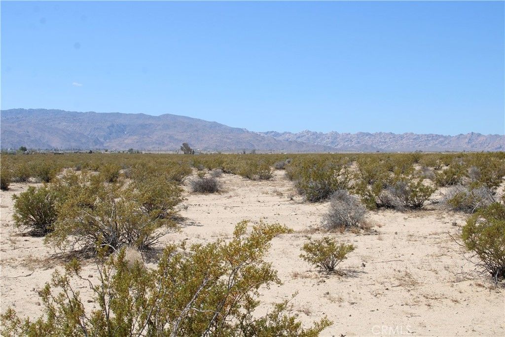 Image 13 of property listing at 5 AC Morongo Road, 29 Palms, CA 92277