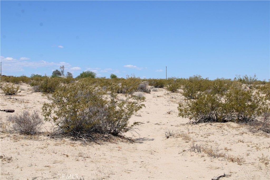 Image 15 of property listing at 5 AC Morongo Road, 29 Palms, CA 92277