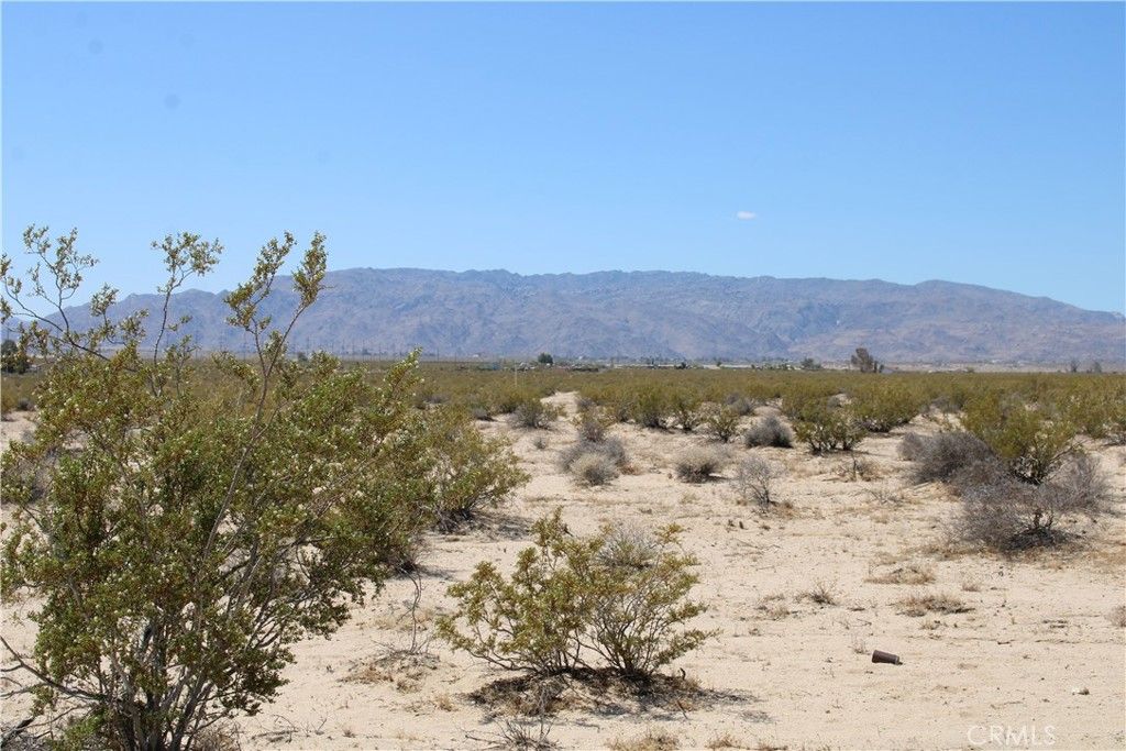 Image 7 of property listing at 5 AC Morongo Road, 29 Palms, CA 92277