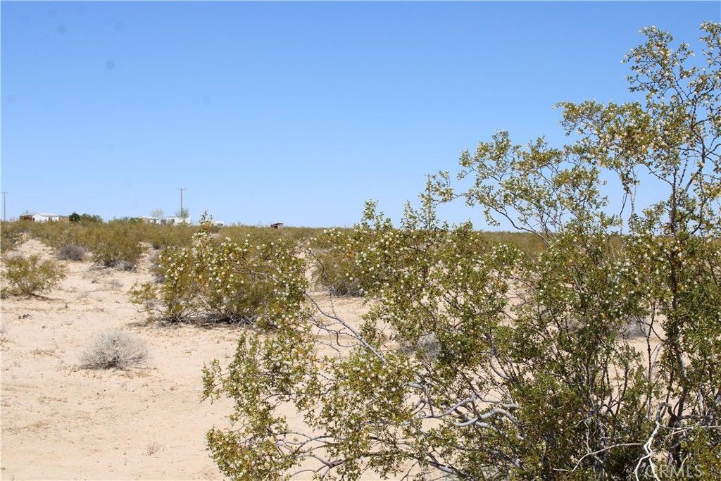 Image 8 of property listing at 5 AC Morongo Road, 29 Palms, CA 92277