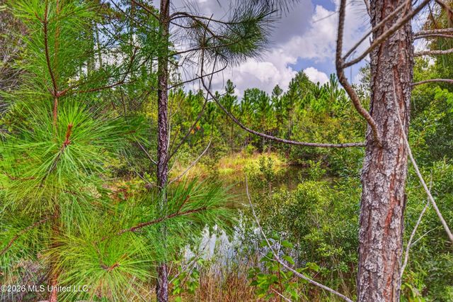 11816 Smokey Court, Ocean Springs, MS 39564