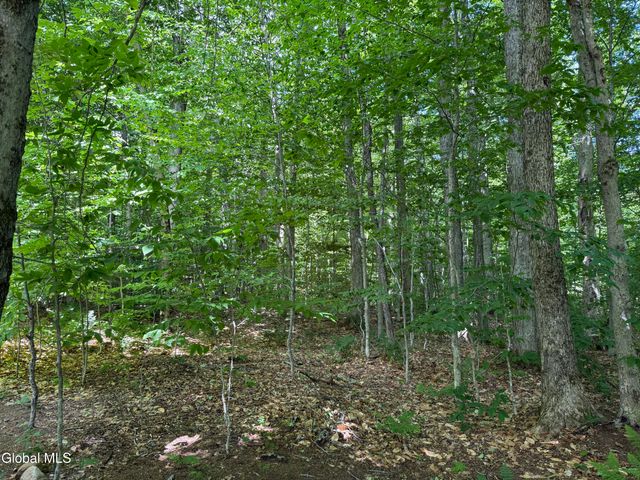 303 N Shore Rd Peck Road, Gloversville, NY 12078