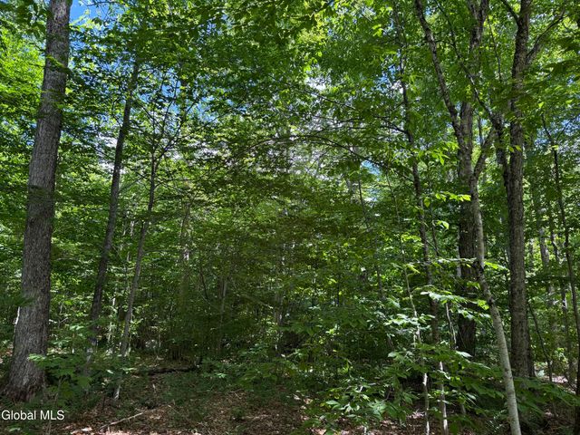 303 N Shore Rd Peck Road, Gloversville, NY 12078