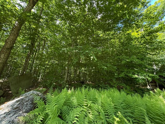 303 N Shore Rd Peck Road, Gloversville, NY 12078