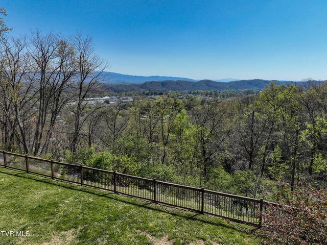 117 Skyline Drive, Bristol, TN 37620