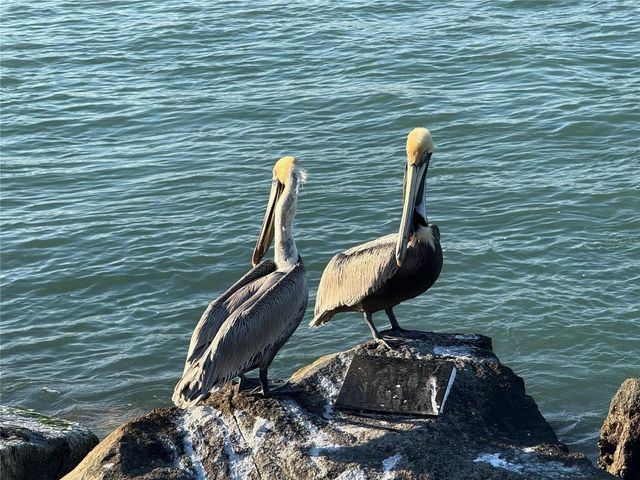 107 DESOTA STREET, Fort Pierce, FL 34949