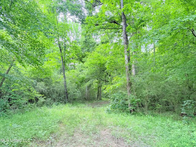 Ms-43, Canton, MS 39046
