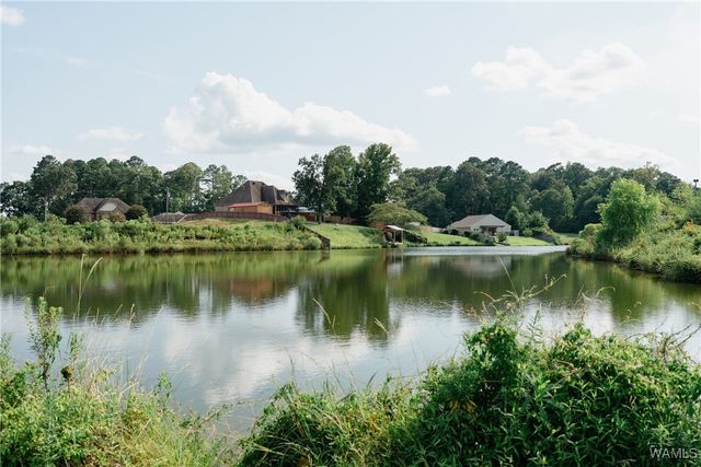 18575 Meadow Run, Vance, AL 35490